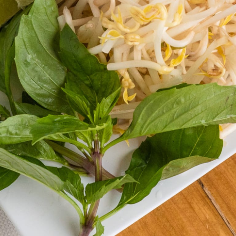 Only Fresh Ingredients